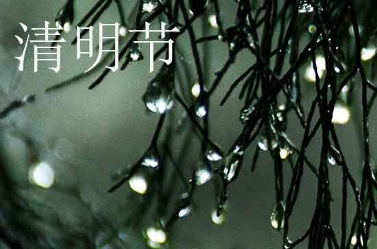 2024年清明节几月几日 2024年清明节是砍树的黄道吉日吗