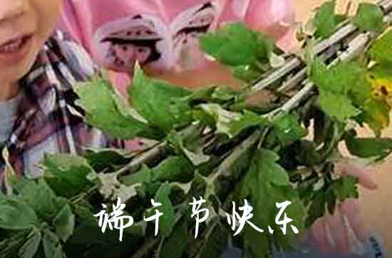 2024端午节祝福语给家人  端午节佳句祝福语