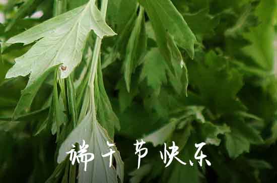 2024端午节寄语怎么写 端午节寄语祝福短语2024