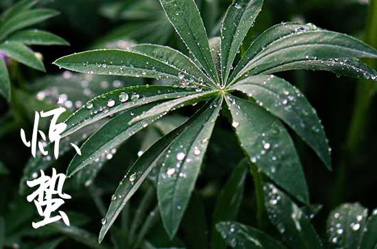 惊蛰节气要做哪些农事 惊蛰的风俗食物