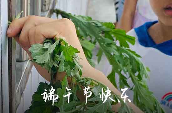 2024端午节祝福语句子大全   心情端午节句子怎么写