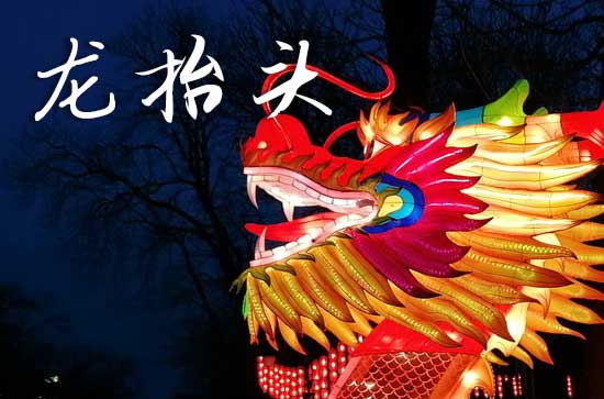 2025年龙抬头是多少号 2025年3月1日龙抬头这天适合买宠物吗