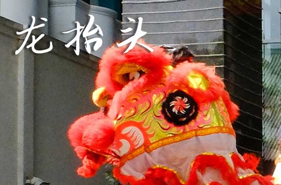 2025龙抬头是几月几号 2025年龙抬头买狗好不好