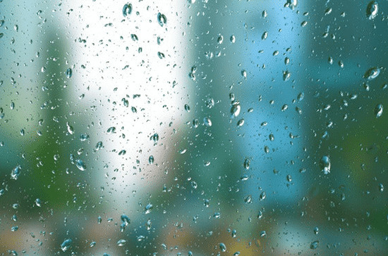谷雨节气能不能种玉米  谷雨节气的气候现象