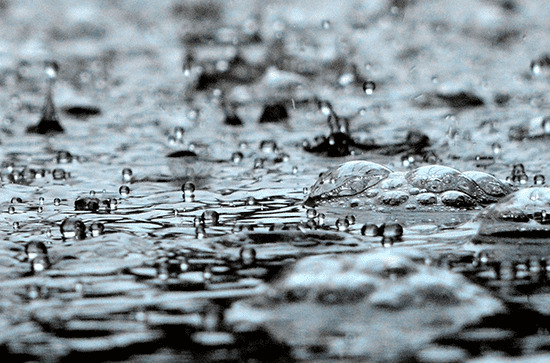 谷雨后面是什么节气  二十四节气顺口溜