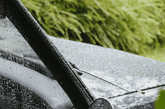 谷雨节气为什么人们会赏花 谷雨节气的到来意味着什么 谷雨节气为什么人们会赏花 谷雨节气的到来意味着什么