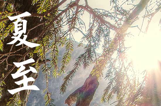 夏至与立夏有什么区别 立夏和夏至哪个是夏天的开始 夏至与立夏有什么区别 立夏和夏至哪个是夏天的开始