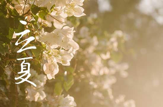 立夏节气吃什么传统食物 立夏节气养生吃什么