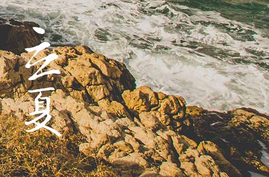 立夏到小满种啥都不晚什么意思   立夏的农事谚语