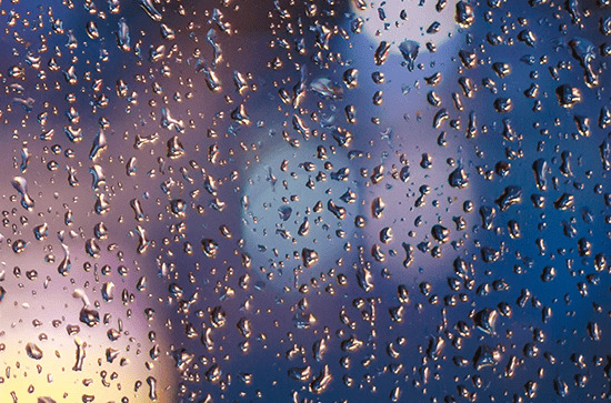 谷雨节气天气有什么变化 谷雨之后是什么节气