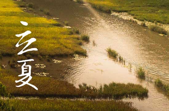 立夏后面的节气是什么 立夏节气养生