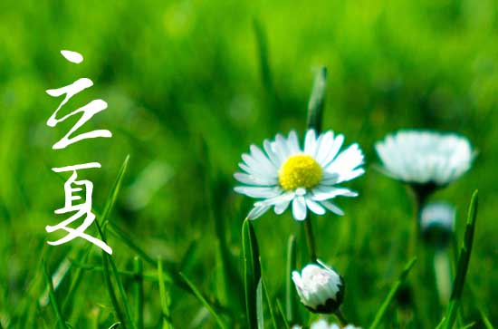 立夏下雨对农作物影响吗  立夏适合中哪些农作物