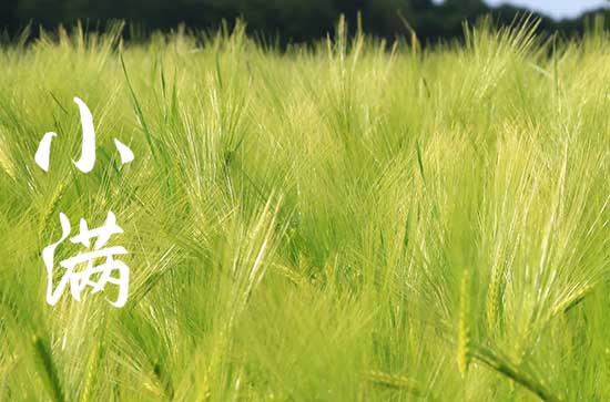 小满见三新指的是哪三新 关于小满节气的诗词