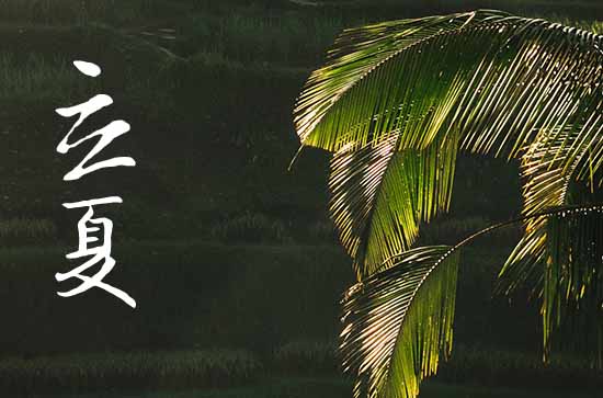 立夏以后能不能种葫芦瓜 立夏节气的农业生产