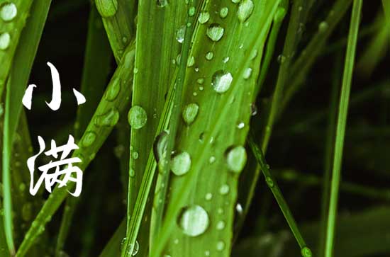 小满节气在什么季节 小满节气的诗句 小满节气在什么季节 小满节气的诗句