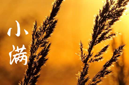 小满前后种瓜种豆是什么意思   小满前后种瓜点豆指哪些作物