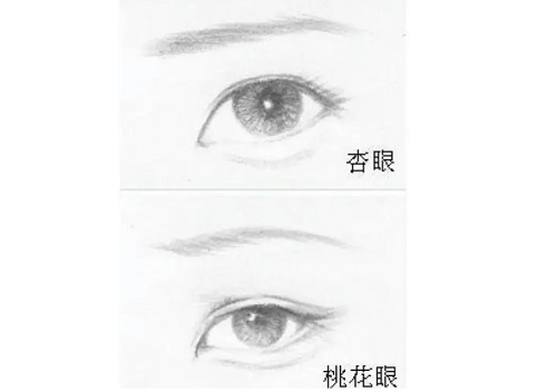 杏眼和桃花眼的区别图 杏眼和桃花眼的区别