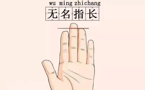 无名指比食指长的人多吗 无名指比食指长是什么命