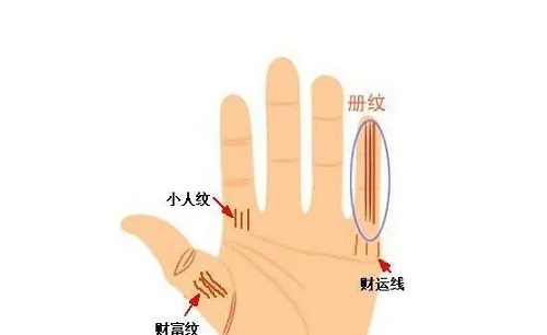 大拇指第二节财富纹 财运纹与财富纹