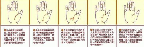 生命线分叉20种图解 生命线分叉20种图解说明