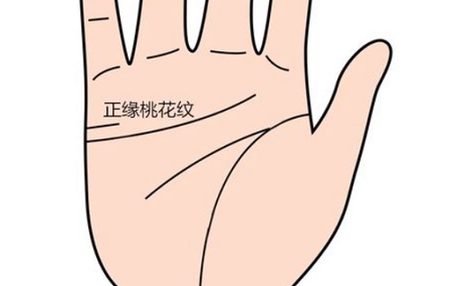 有桃花运的女人的手相 有桃花运的女人的手相怎么看