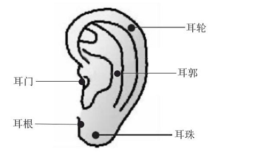耳朵长痣的位置图解 耳朵长痣的位置图解有福气