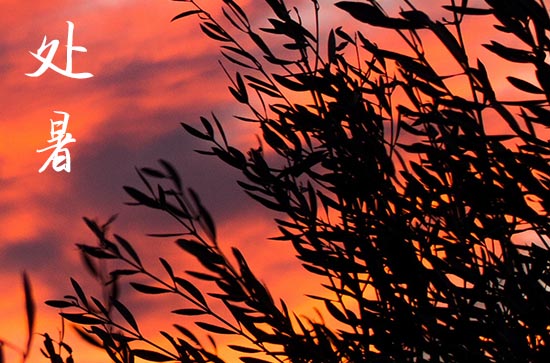 2024年处暑后还热吗 处暑气温多少度 2024年处暑后还热吗 处暑气温多少度