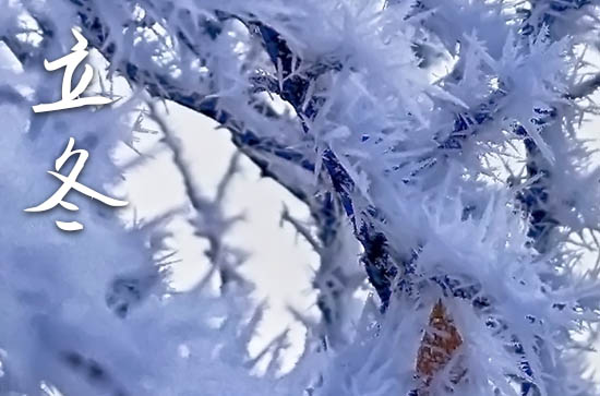 2024年立冬是具体哪一天 2024年立冬生子可以吗