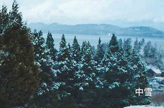 河南12月13日再迎大范围雨雪局地大暴雪 安阳未来三天天气预报