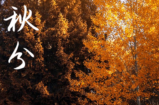 2024秋分节气暖心祝福文案