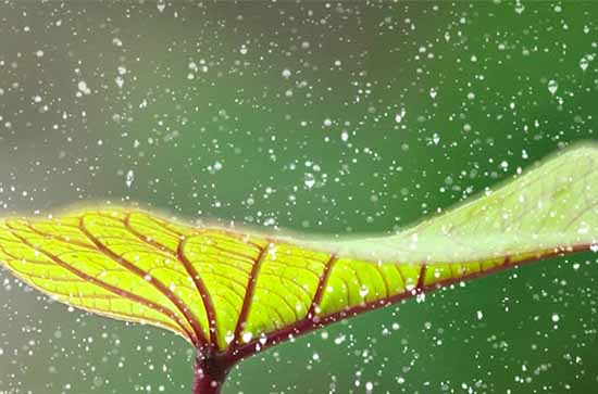 雅安10月30日天气预报:高温21℃~低温13℃，小雨，会下雨