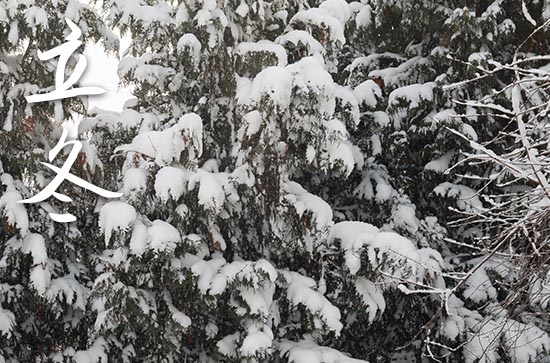 2024年立冬农历时间 2024年立冬是求婚的好日子吗 2024年立冬农历时间 2024年立冬是求婚的好日子吗