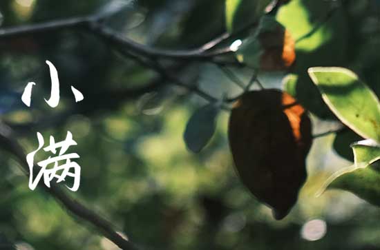 2024年小满下雨有什么说法