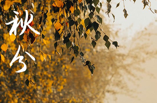 秋分是2024的几月几日 2024年秋分能下葬吗