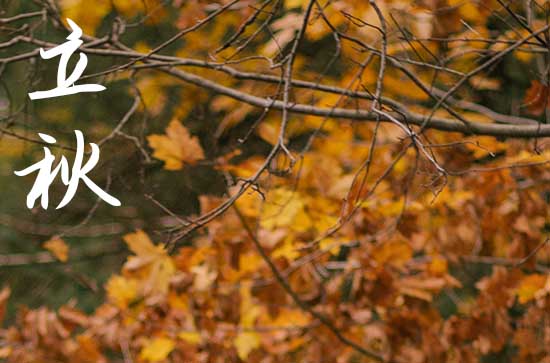 今年立秋是什么时间几点几分2024 立秋后还会热死牛吗