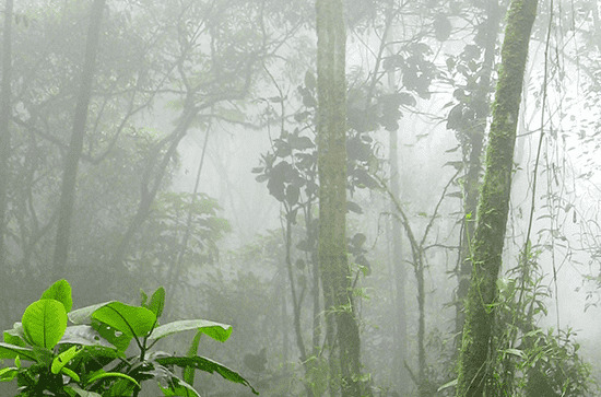 5月23日至25日未来三天福建多云为主 有分散性阵雨或雷阵雨                    