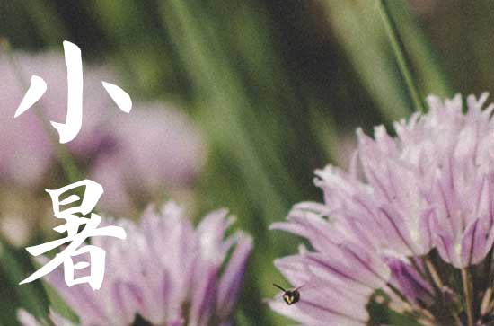 2024年小暑进入三伏天吗