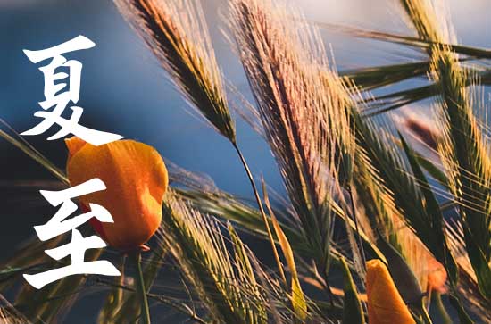 2023夏至是天最长的时候吗 为什么夏至过后会昼短夜长 2023夏至是天最长的时候吗 为什么夏至过后会昼短夜长