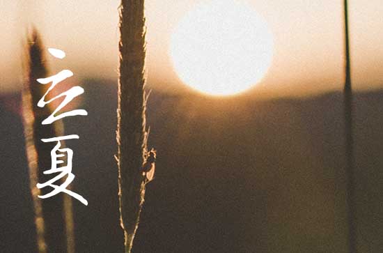 立夏是几月几号2024年 2024年5月5日立夏这天拆房好吗