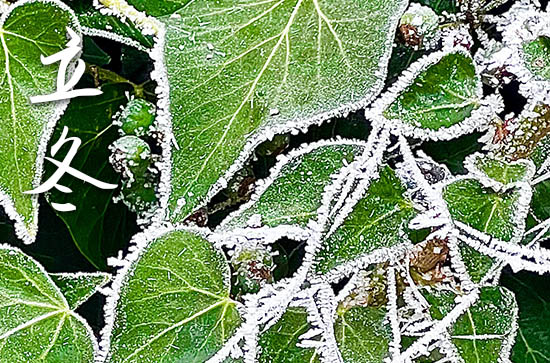 2024年立冬是什么时候时间 2024年立冬开工吉利吗