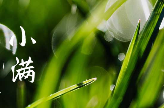 2023小满的空间早安说说 小满节气早安祝福语