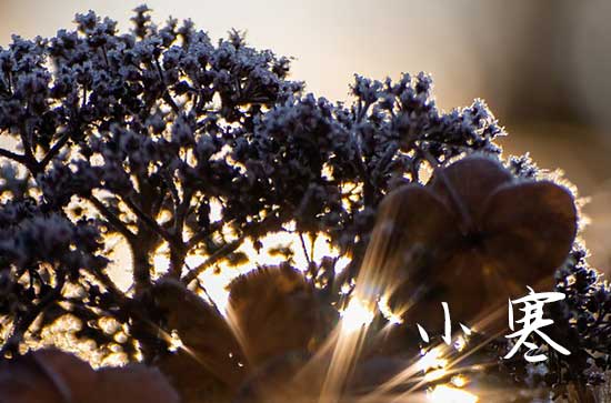 2025年小寒是几月几日