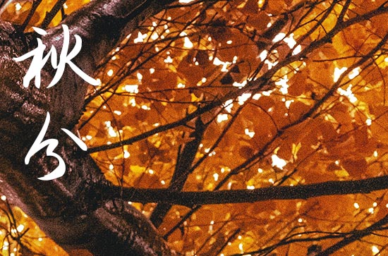 2024年秋分是星期几 2024年秋分制作猫窝吉利吗