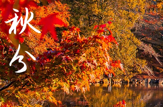 秋分节气祝福句子大全（通用50句）