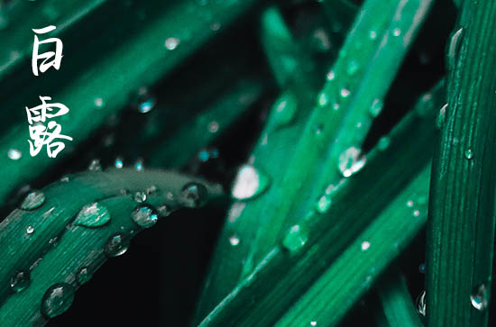 2024年几月几号白露节气