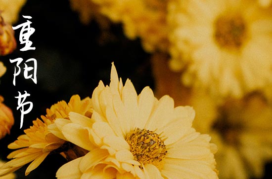 九九重阳节的起源 重阳节这天会干什么 九九重阳节的起源 重阳节这天会干什么
