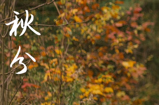 2024年秋分是几点几分几秒 2024年秋分是修理仓库的好日子吗