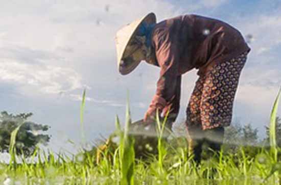 劳动节2024年放几天 几号到几号放假 劳动节2024年放几天 几号到几号放假