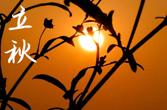 2024明天什么时候立秋 2024明天什么时候立秋