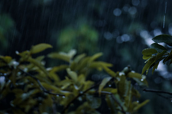 7月3日牡丹江会下雨 今日小雨转阵雨温度23℃~15℃